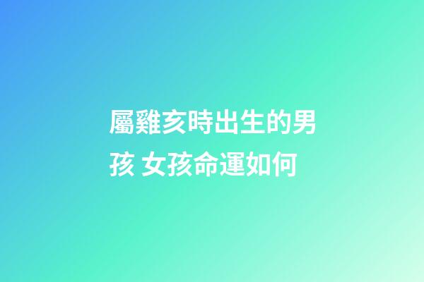 屬雞亥時出生的男孩 女孩命運如何